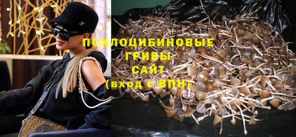 дмт Нефтегорск