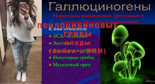 дмт Нефтегорск