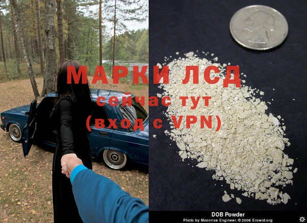 кокс Нея