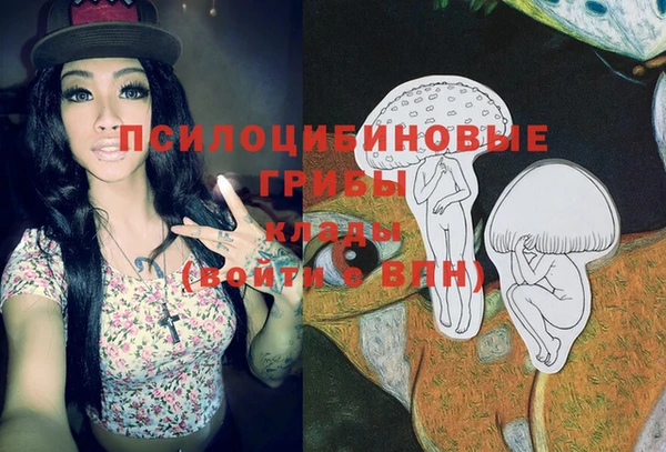 кокс Нея