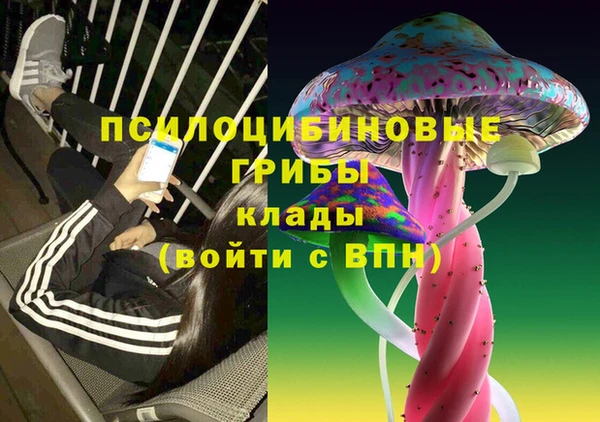 кокс Нея