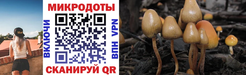 наркотики  Саратов  Галлюциногенные грибы Magic Shrooms 