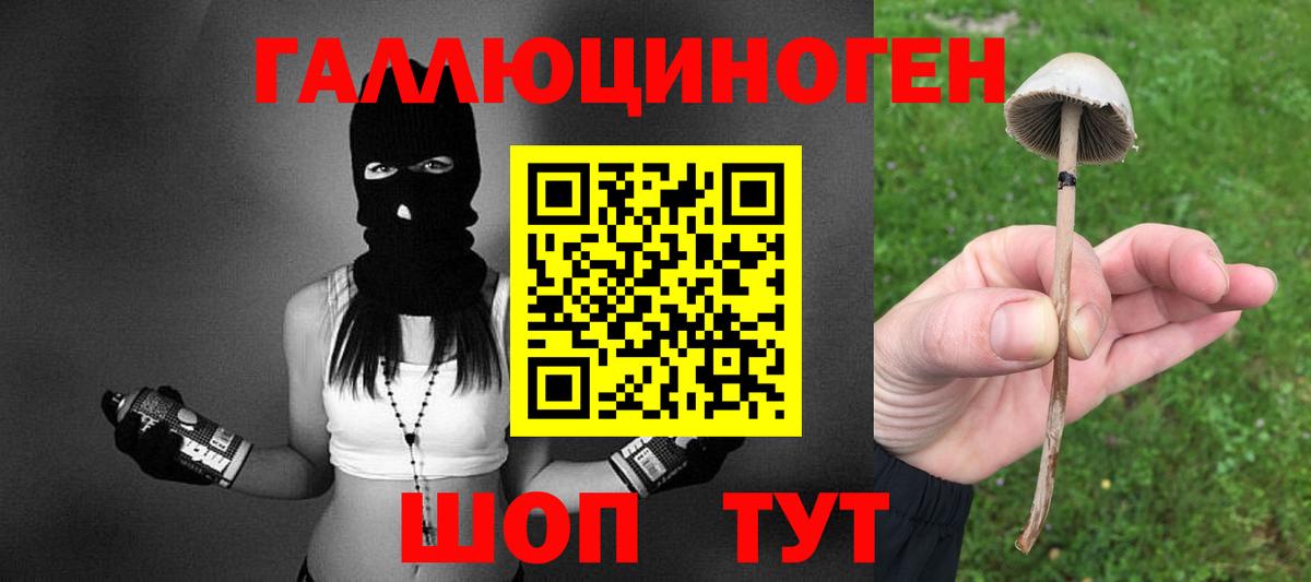 Галлюциногенные грибы GOLDEN TEACHER Саратов